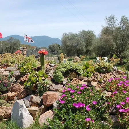 Nuraximannu Farmház Santadi