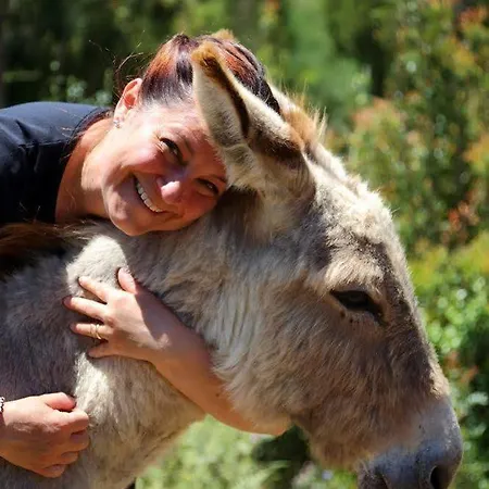 Nuraximannu Boutique