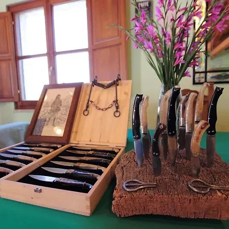 Nuraximannu Boutique Feriegård