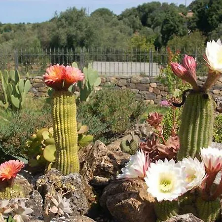 Nuraximannu Boutique مزرعة للإقامة Santadi