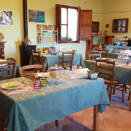 Nuraximannu Boutique *