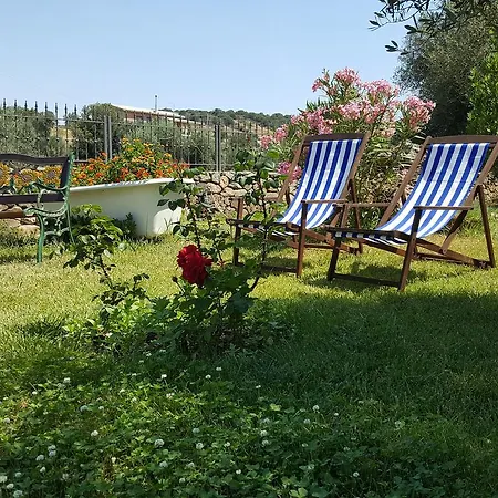 Nuraximannu Boutique *